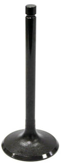 Exhaust Valve