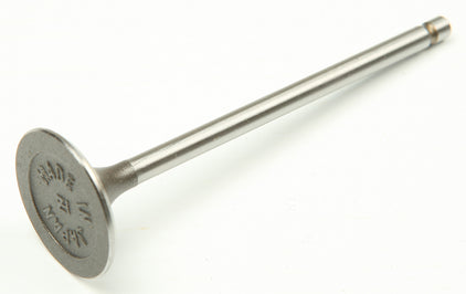 Intake Valve