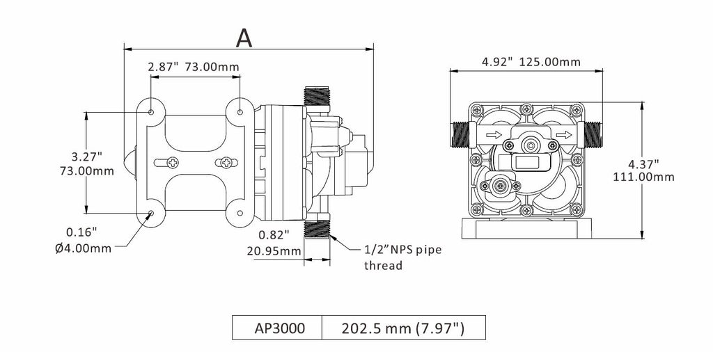 Aqua Pro 21847 Fresh Water Pump