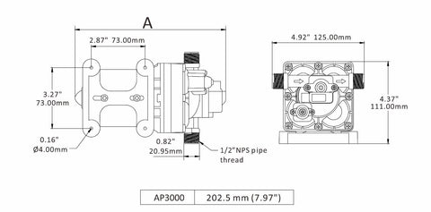 Aqua Pro 21847 Fresh Water Pump