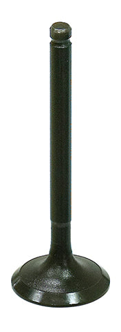 Intake Valve