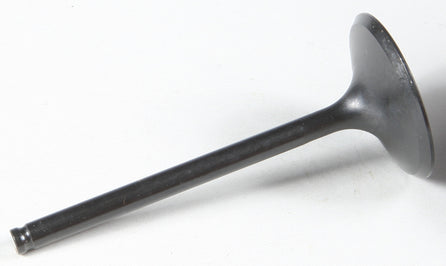 Black Diamond Intake Valve
