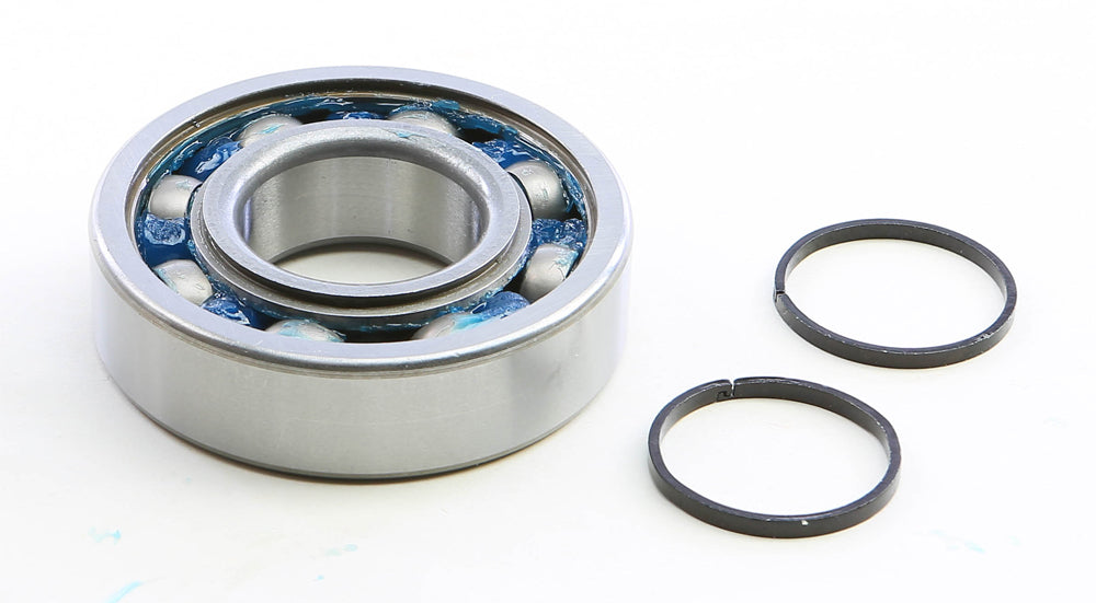 Main Bearing & Seal Kit