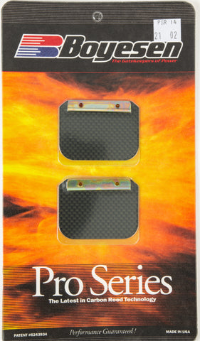 Motorcycle Pro Reeds