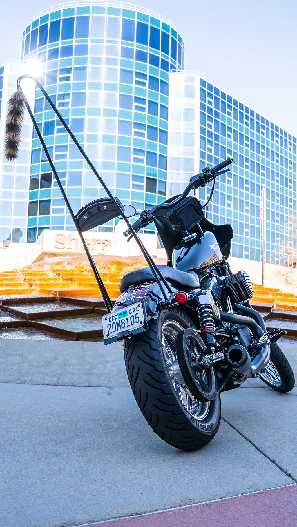 Stupid Tall Sissy Bar W/Bar Black Xl 94 03