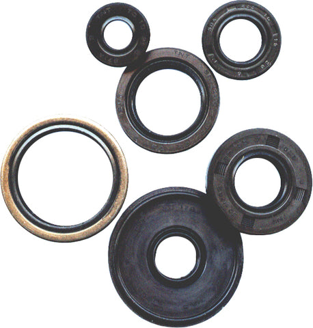 Oil Seal Set