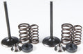 Intake Valve/Spring Kit Stainless Steel