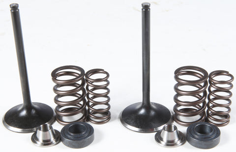 Intake Valve/Spring Kit Stainless Steel