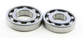 Main Bearing & Seal Kit