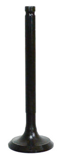 Exhaust Valve