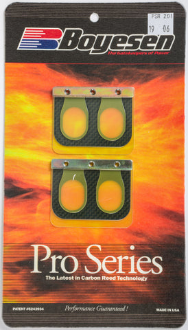 Motorcycle Pro Reeds