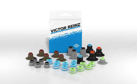Victor Reinz B31733