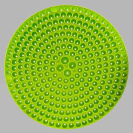 Chemical Guys DIRTTRAP04