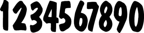 DIRT DIGITS PL53B-7
