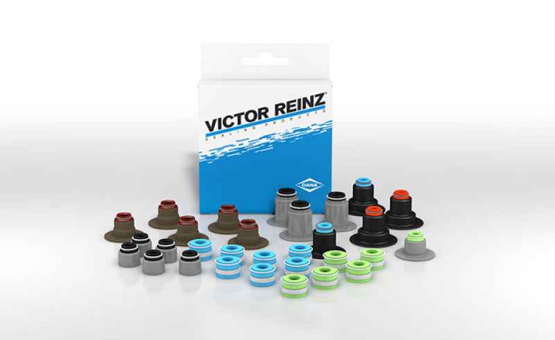 Victor Reinz SS45991