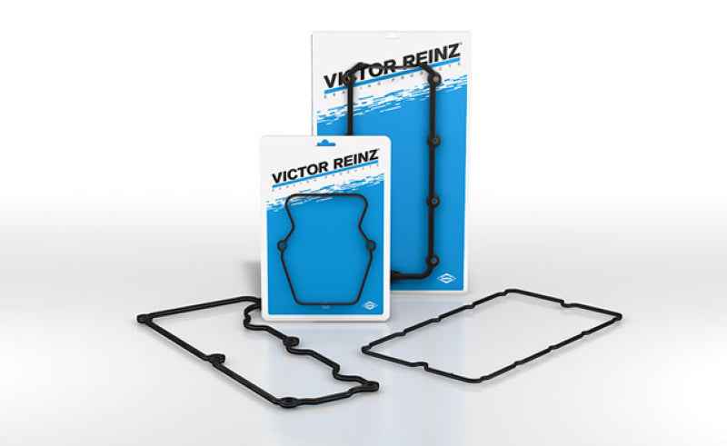 Victor Reinz VS50527
