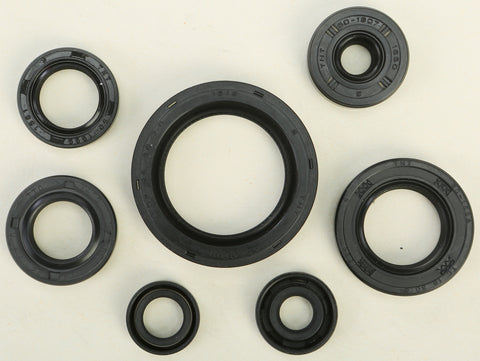 Oil Seal Set