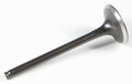 Black Diamond Exhaust Valve