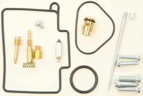 Bike Carburetor Rebuild Kit