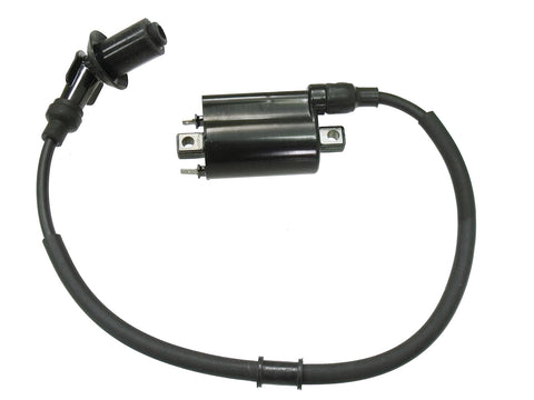 Atv Ignition Coil