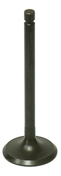 Exhaust Valve