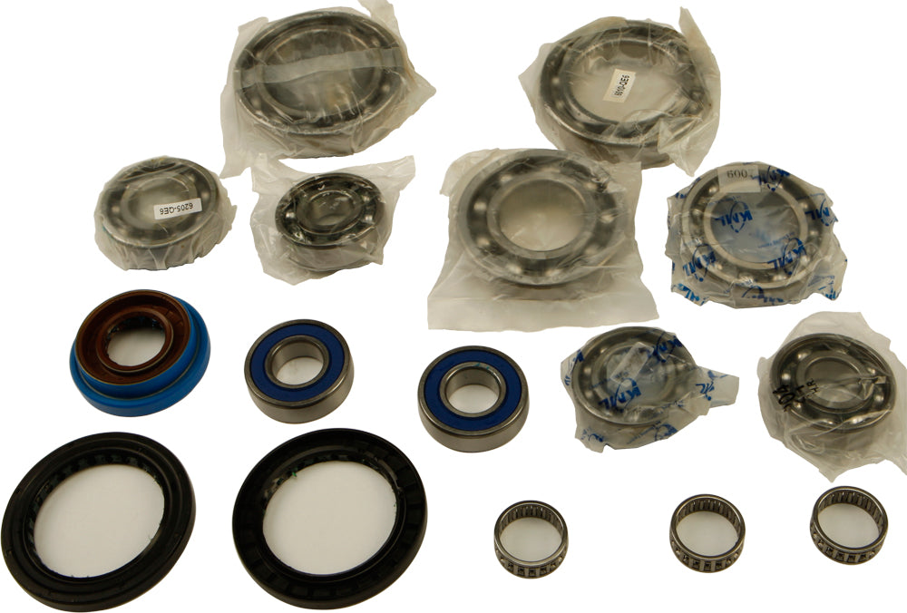 Differential Bearing And Seal Kit